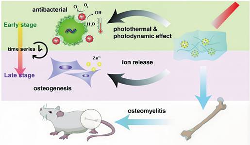 Theranostics Image