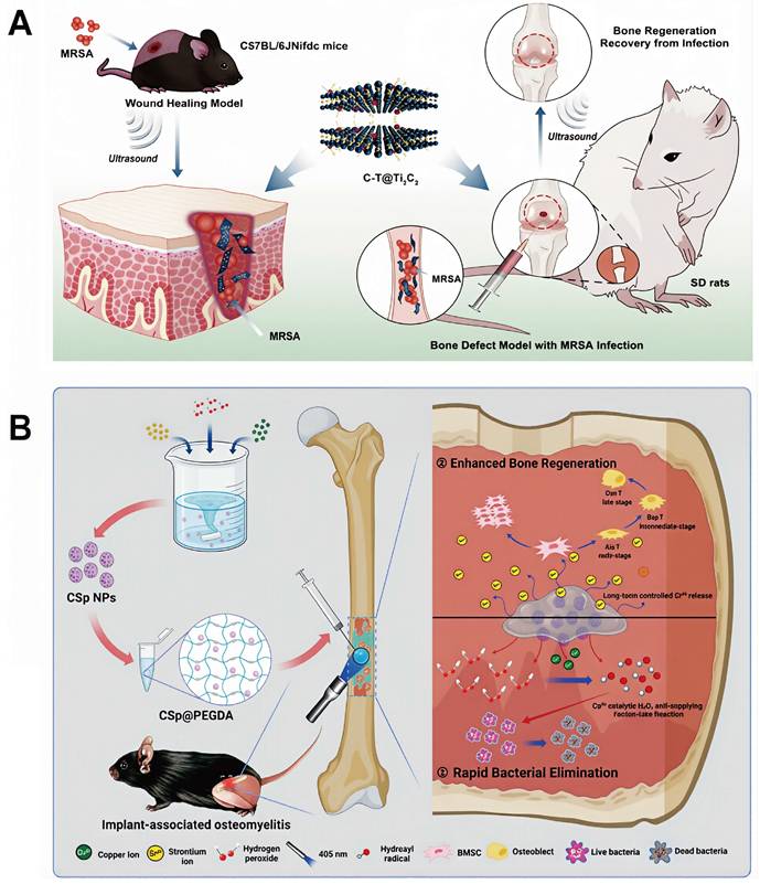 Theranostics Image