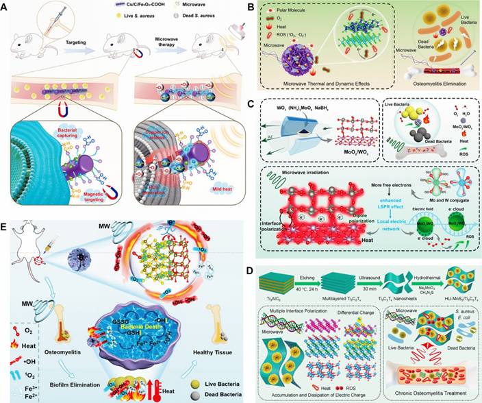 Theranostics Image