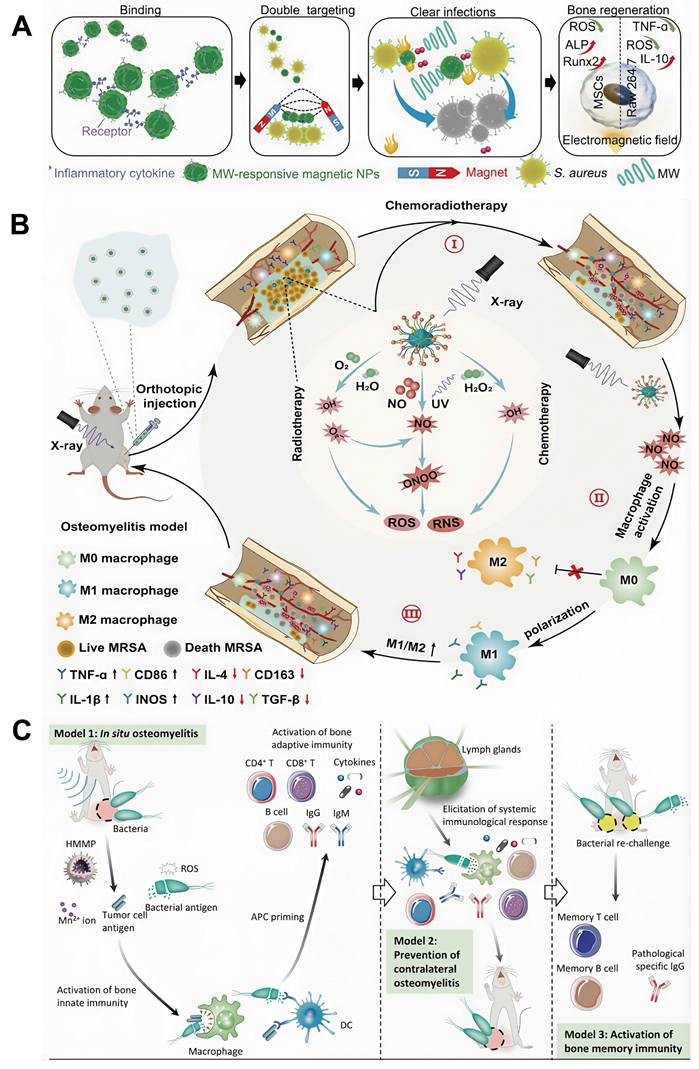 Theranostics Image