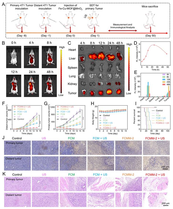 Theranostics Image