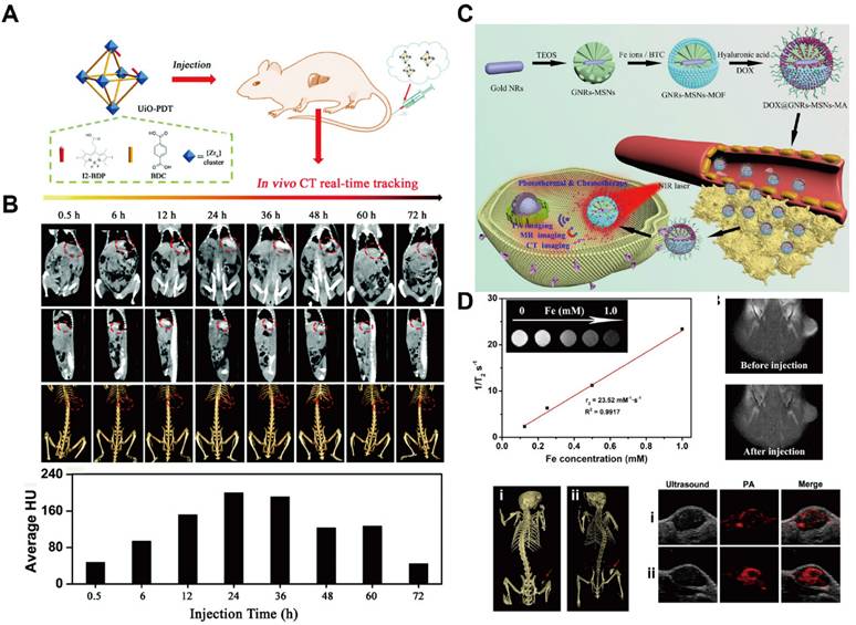 Theranostics Image