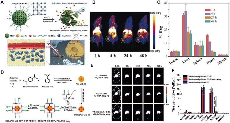 Theranostics Image