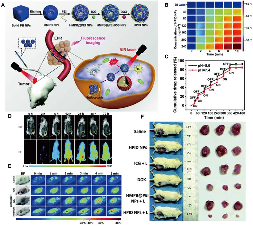 Theranostics Image