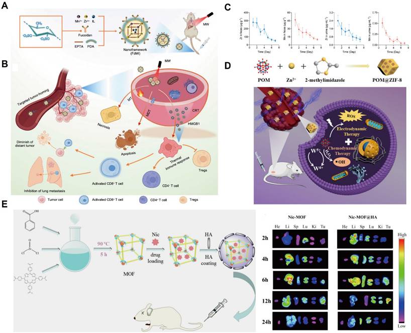 Theranostics Image