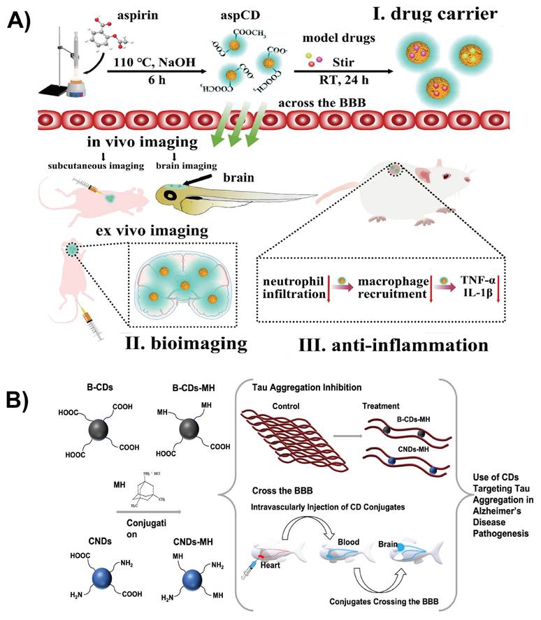 Theranostics Image