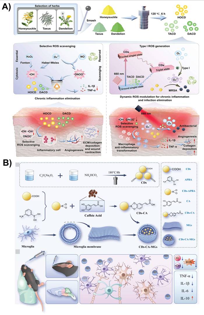 Theranostics Image