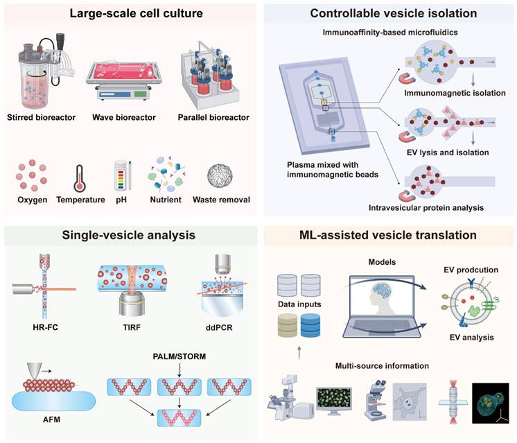 Theranostics Image