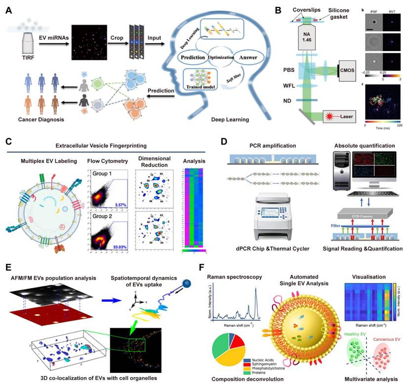 Theranostics Image