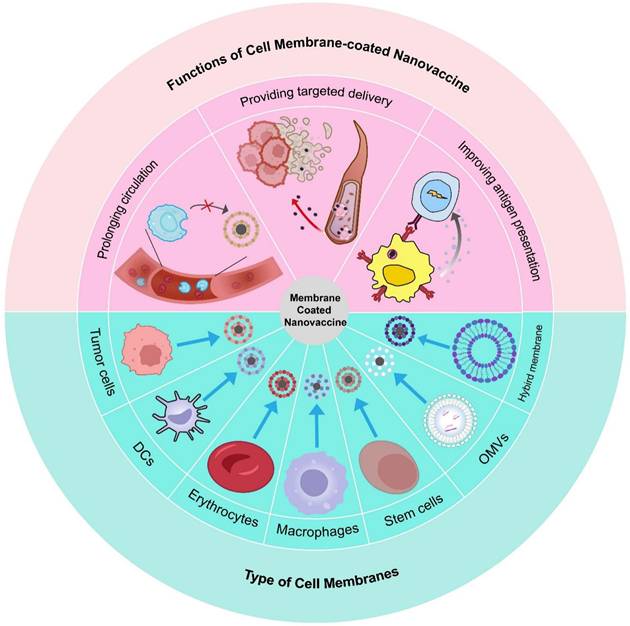 Theranostics Image