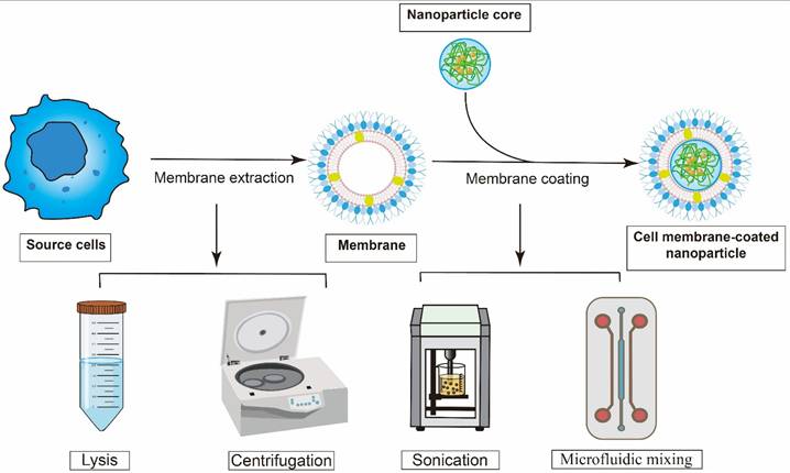Theranostics Image