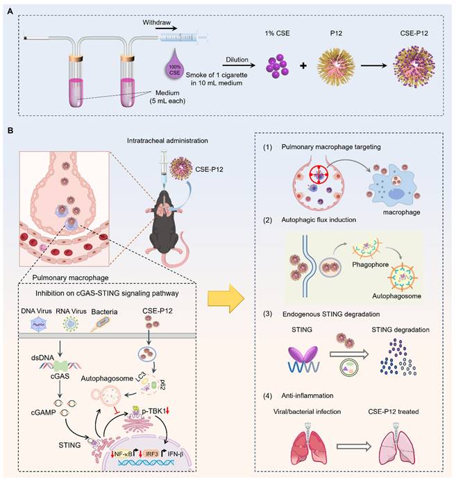 Theranostics Image