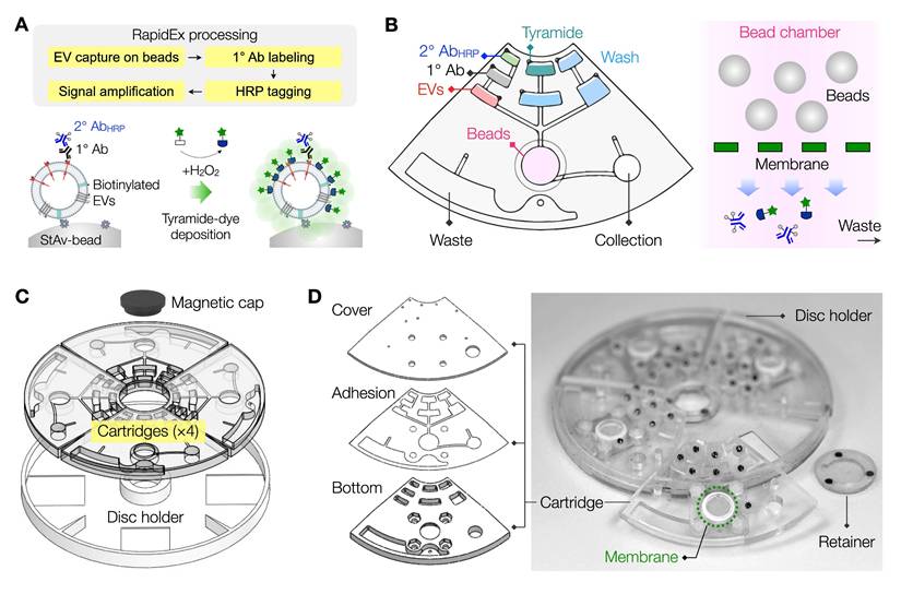 Theranostics Image