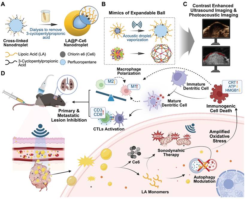 Theranostics Image