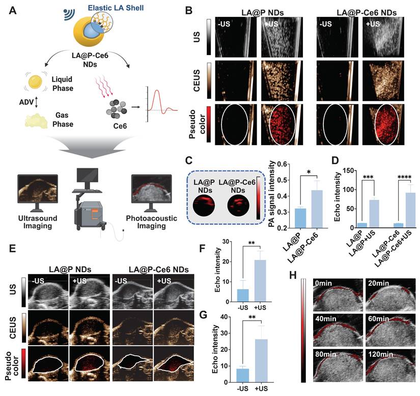 Theranostics Image
