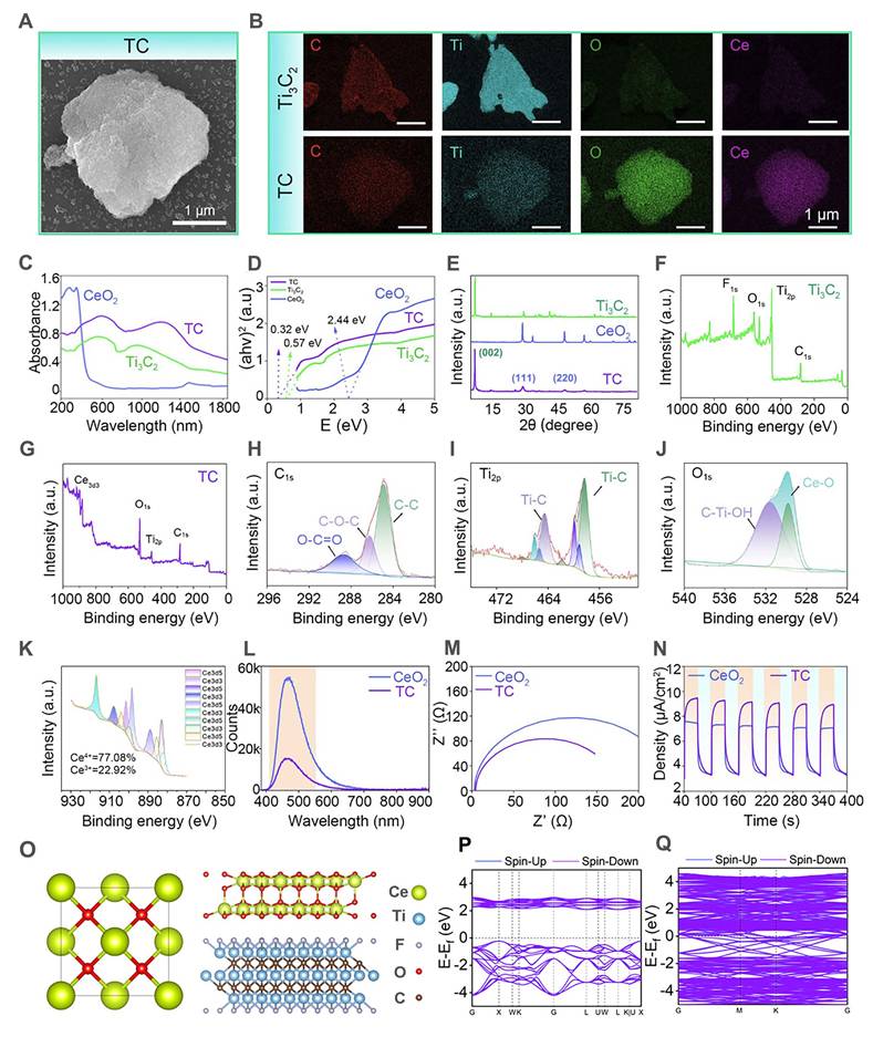 Theranostics Image