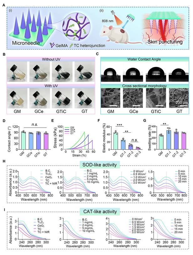 Theranostics Image