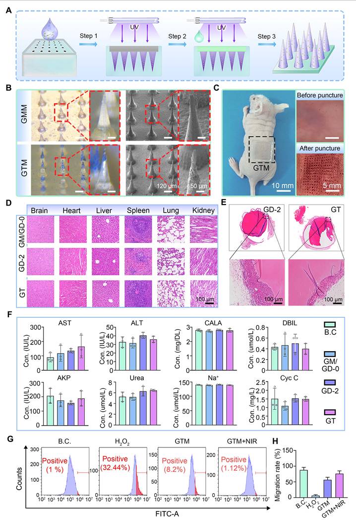 Theranostics Image