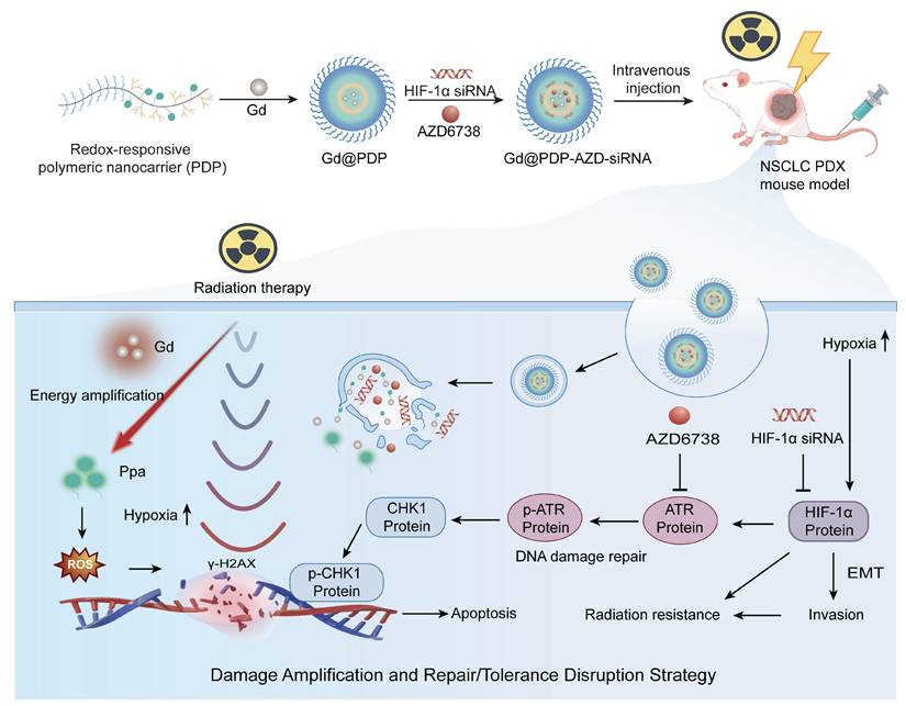 Theranostics Image