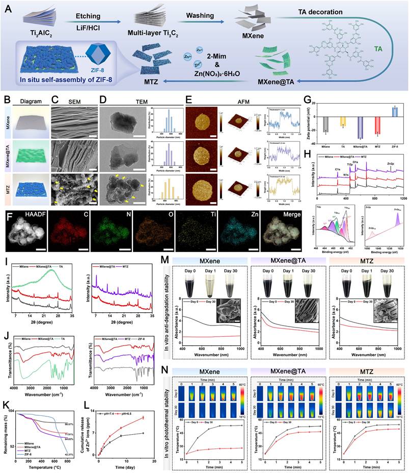 Theranostics Image
