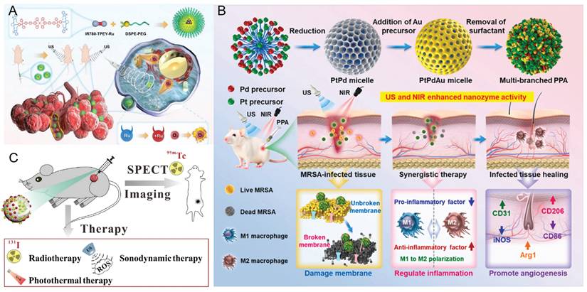 Theranostics Image