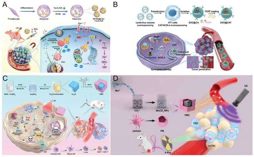 Theranostics Image