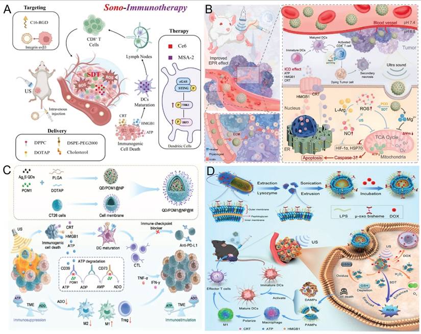 Theranostics Image