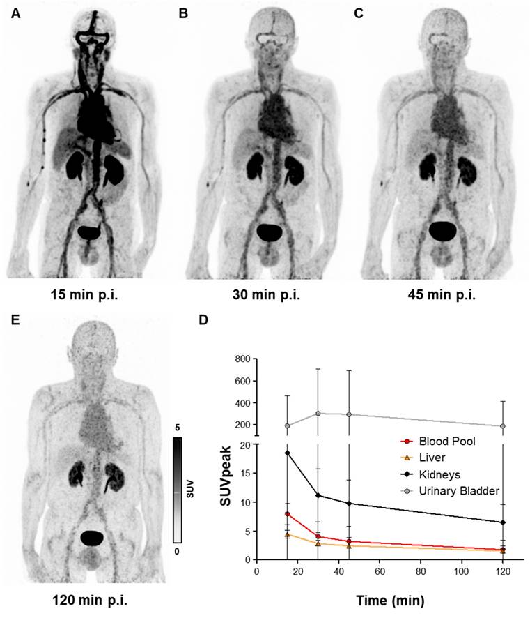 Theranostics Image