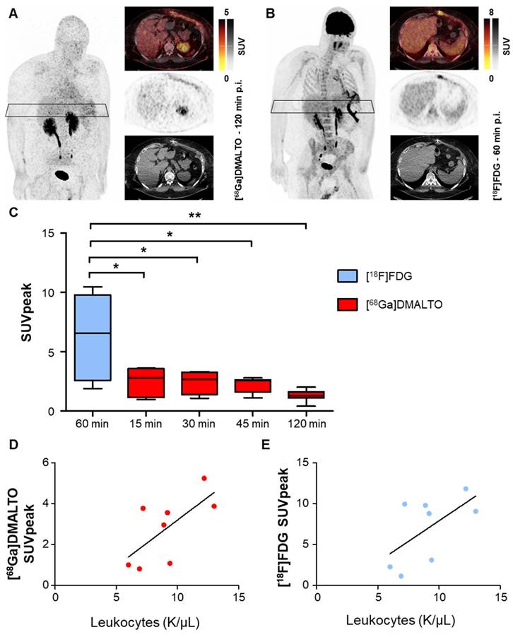 Theranostics Image