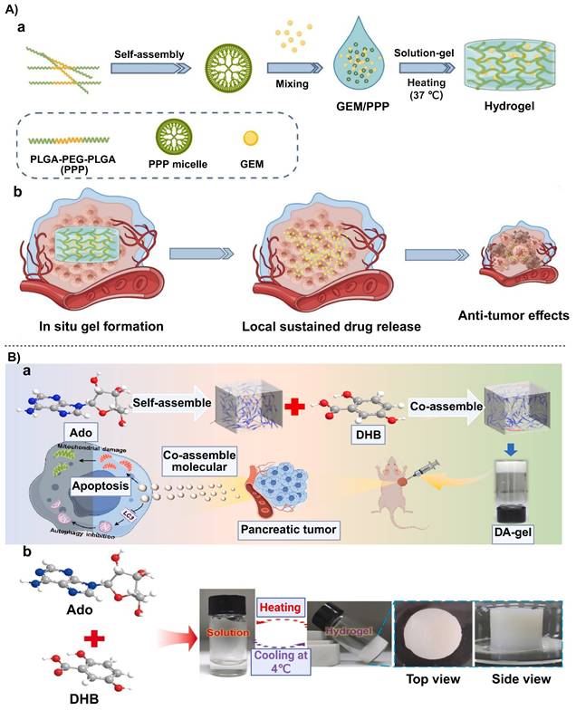 Theranostics Image