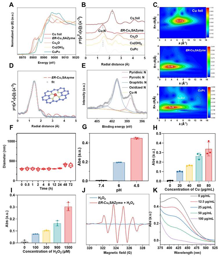 Theranostics Image