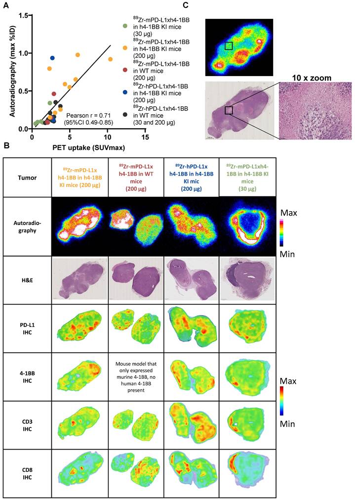 Theranostics Image