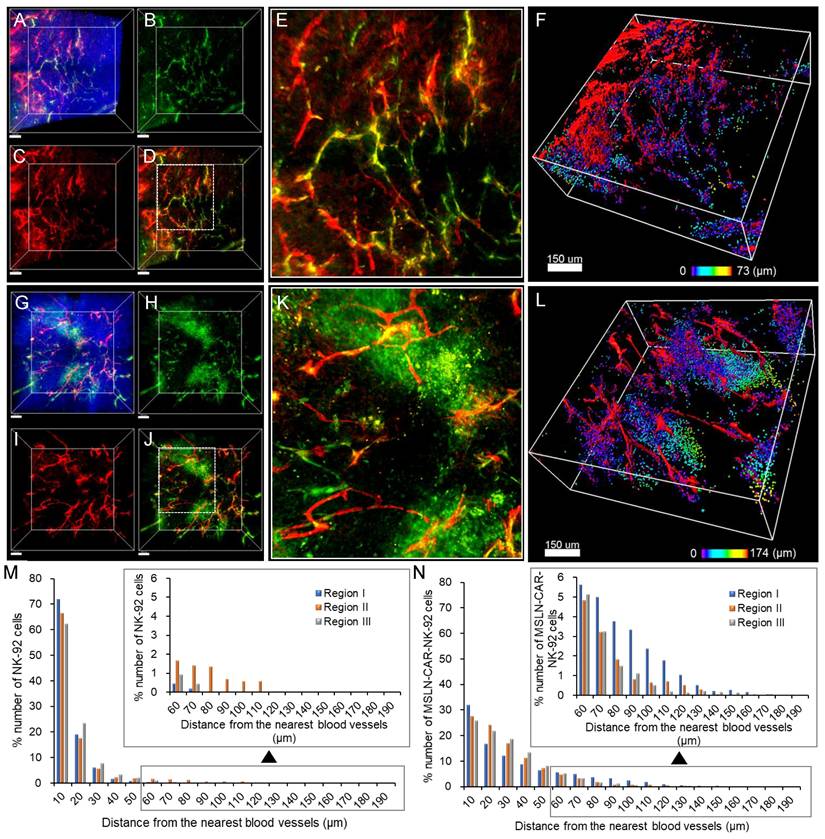 Theranostics Image