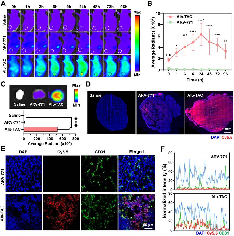 Theranostics Image