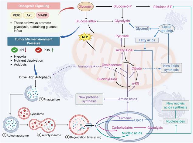 Theranostics Image