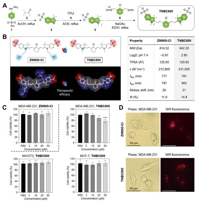 Theranostics Image