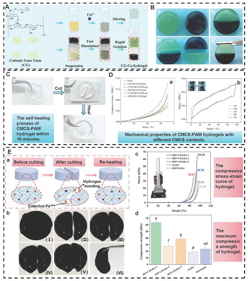 Theranostics Image