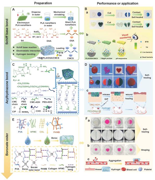 Theranostics Image