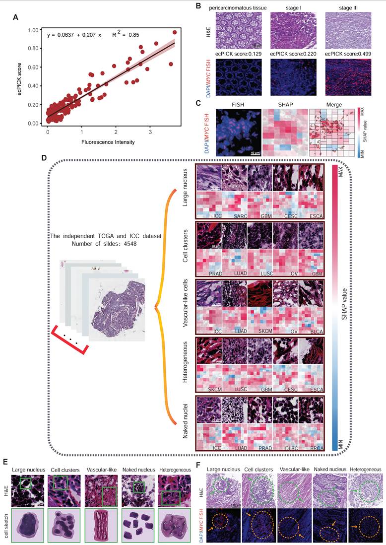 Theranostics Image