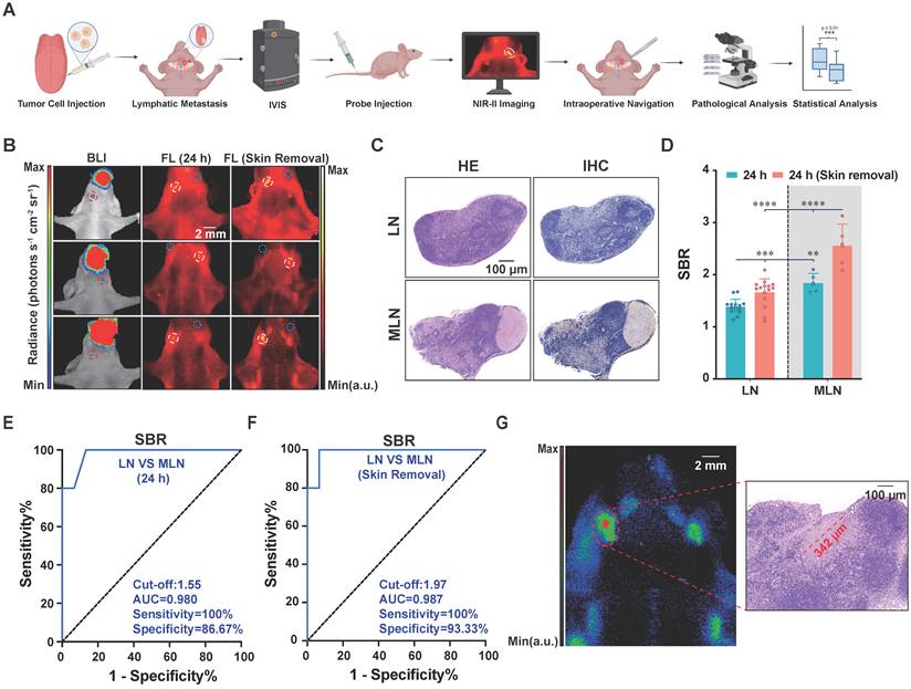 Theranostics Image