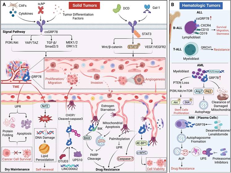 Theranostics Image