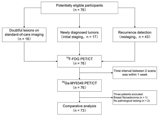 Theranostics Image