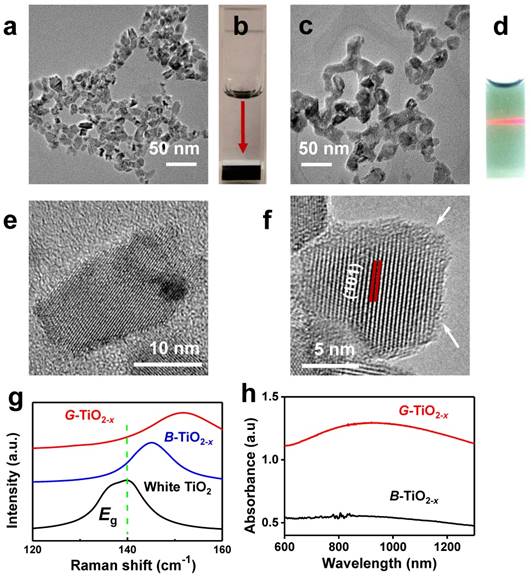 Theranostics Image