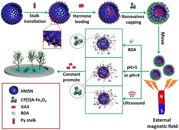 Theranostics Image