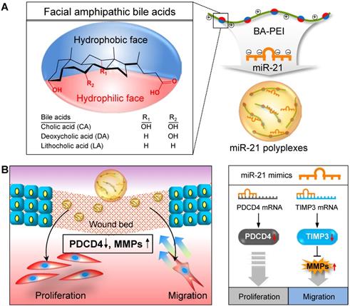 Theranostics Image