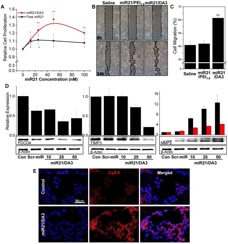 Theranostics Image