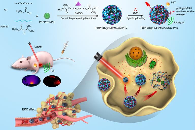 Highly Stable Semiconducting Polymer Nanoparticles For Multi-responsive ...