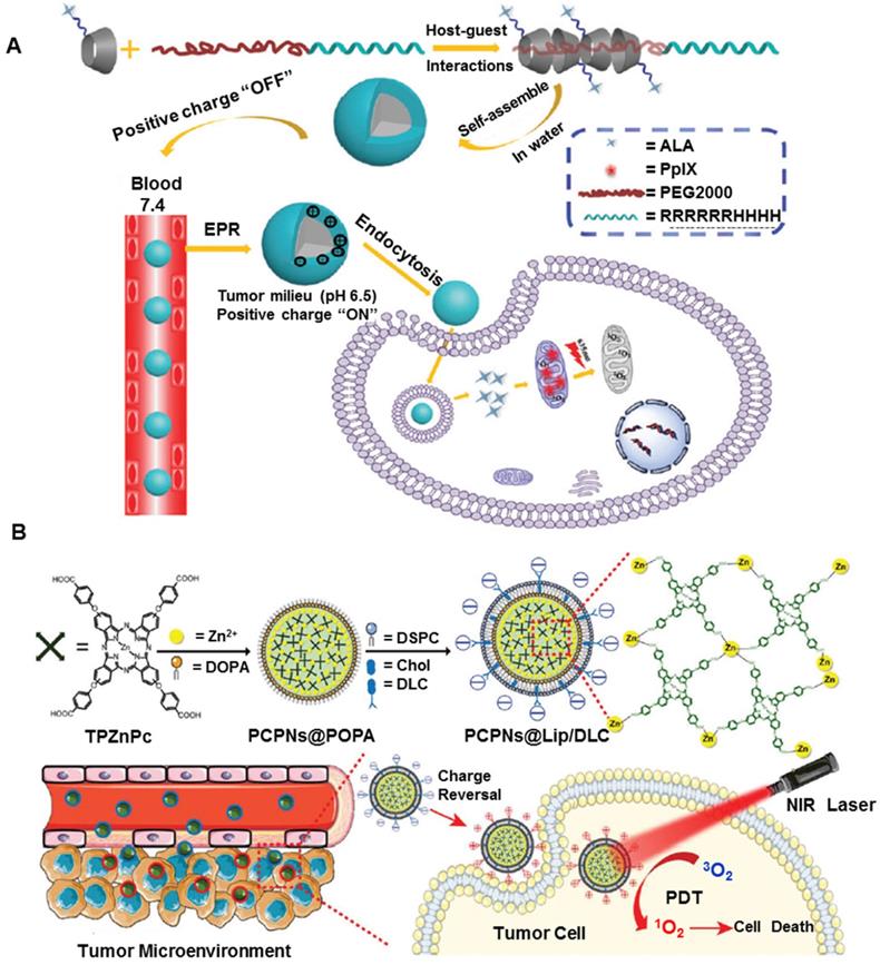 Versatile Nanoplatforms With Enhanced Photodynamic Therapy: Designs And ...