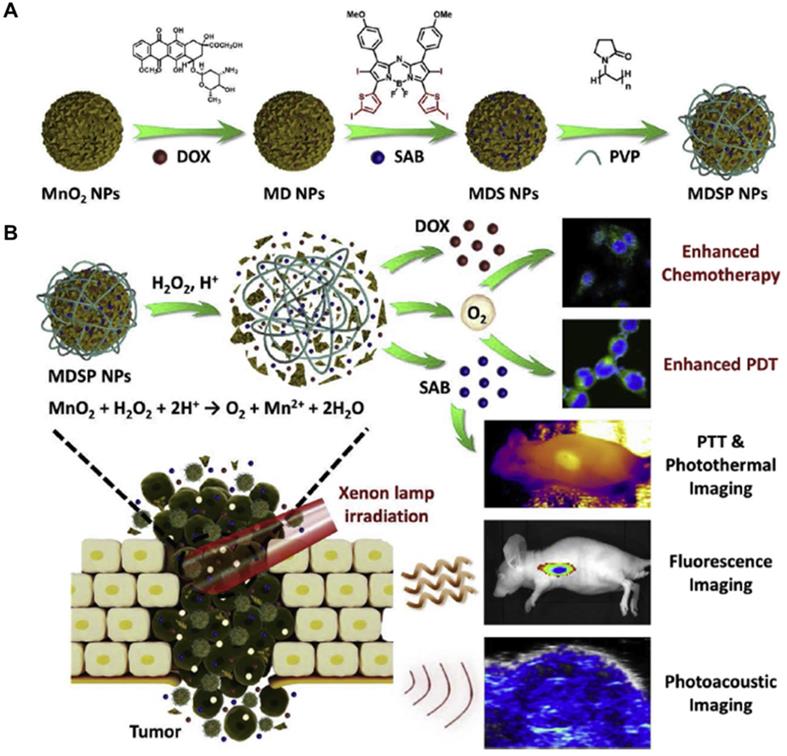 Versatile Nanoplatforms With Enhanced Photodynamic Therapy: Designs And ...