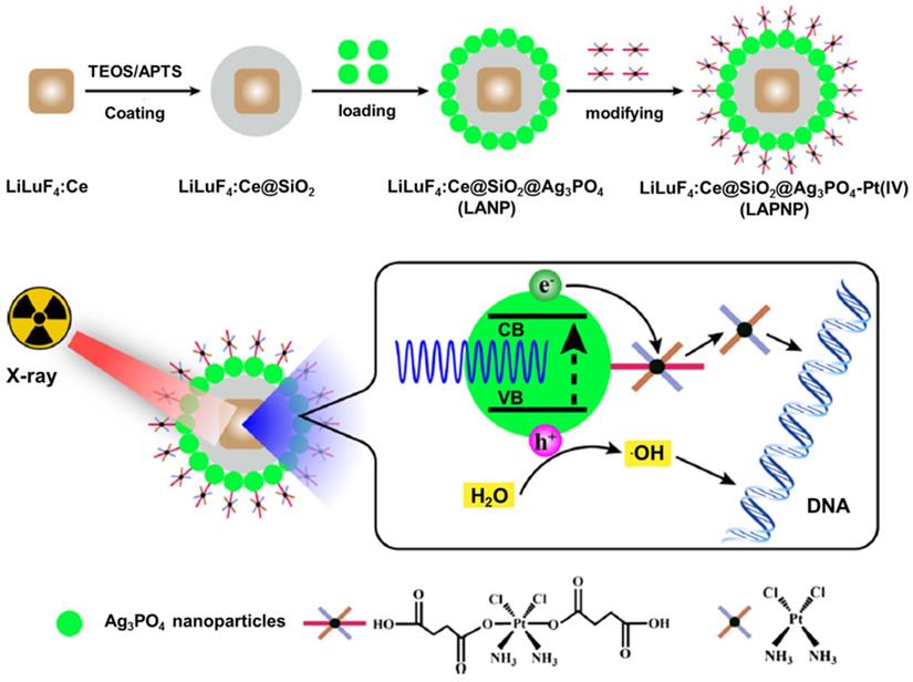 Versatile Nanoplatforms with enhanced Photodynamic Therapy: Designs and ...
